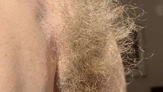 Hairy Sara’s wild bush