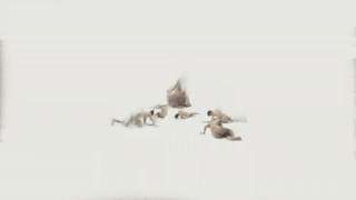 PEREGRINACION SEXUAL