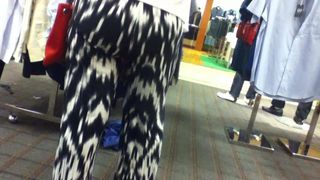 Zebra pants