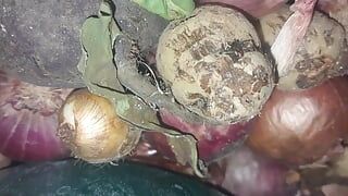 Stepfather fucked by stepmother Family Desi Hot cock in Desi pussy