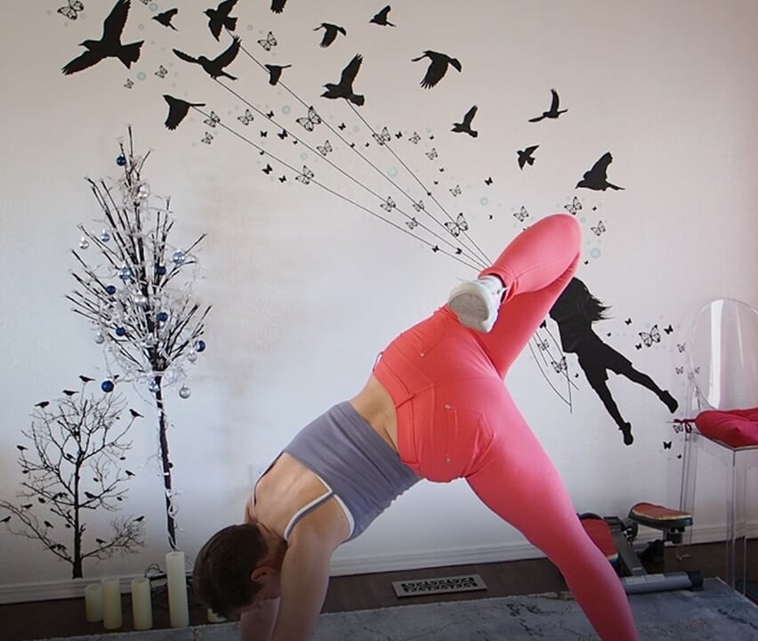 Goddess Aurora Willows Mobility Class 313