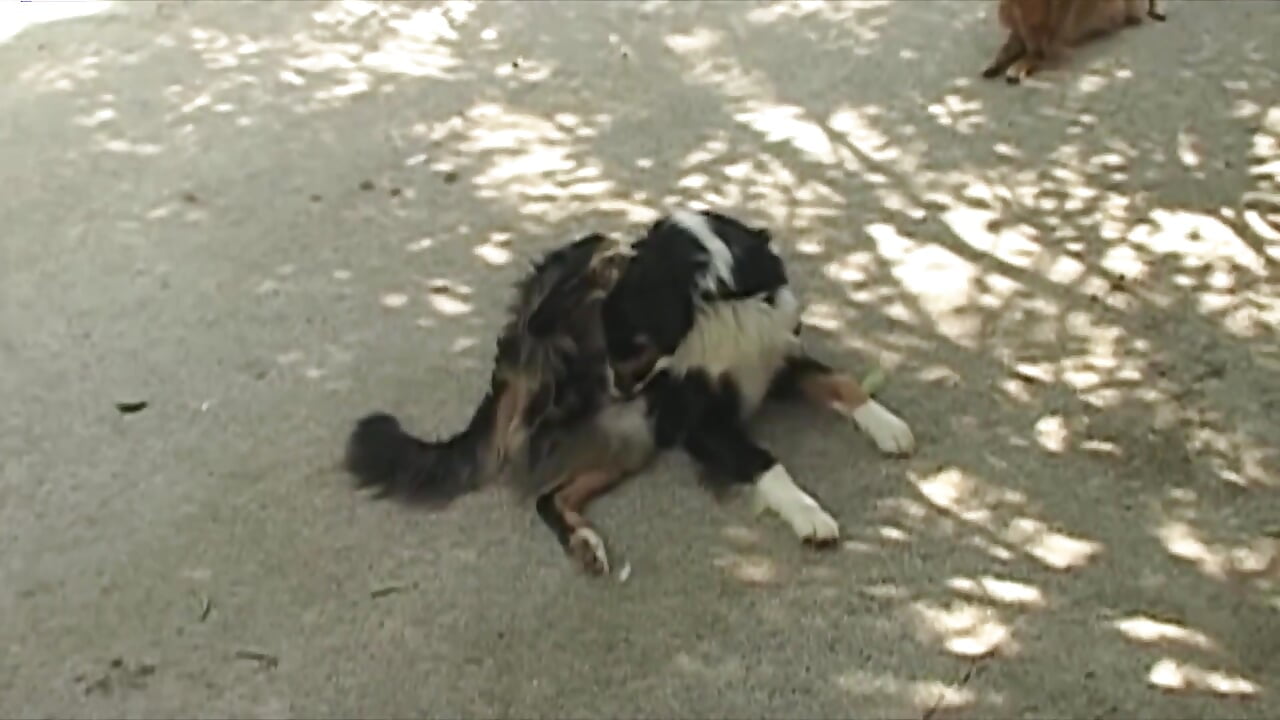 Ordinary Perversions of italian Common People