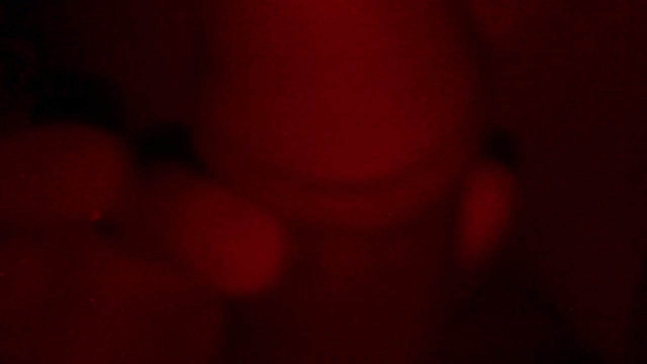 With My Malaysian FWB