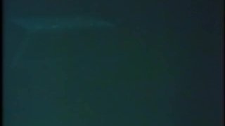 Bareback Riders – Scene 1