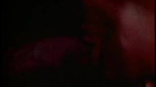 Celebration – Scene 1