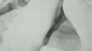 Classic Stags 286 1960s – Scene 4